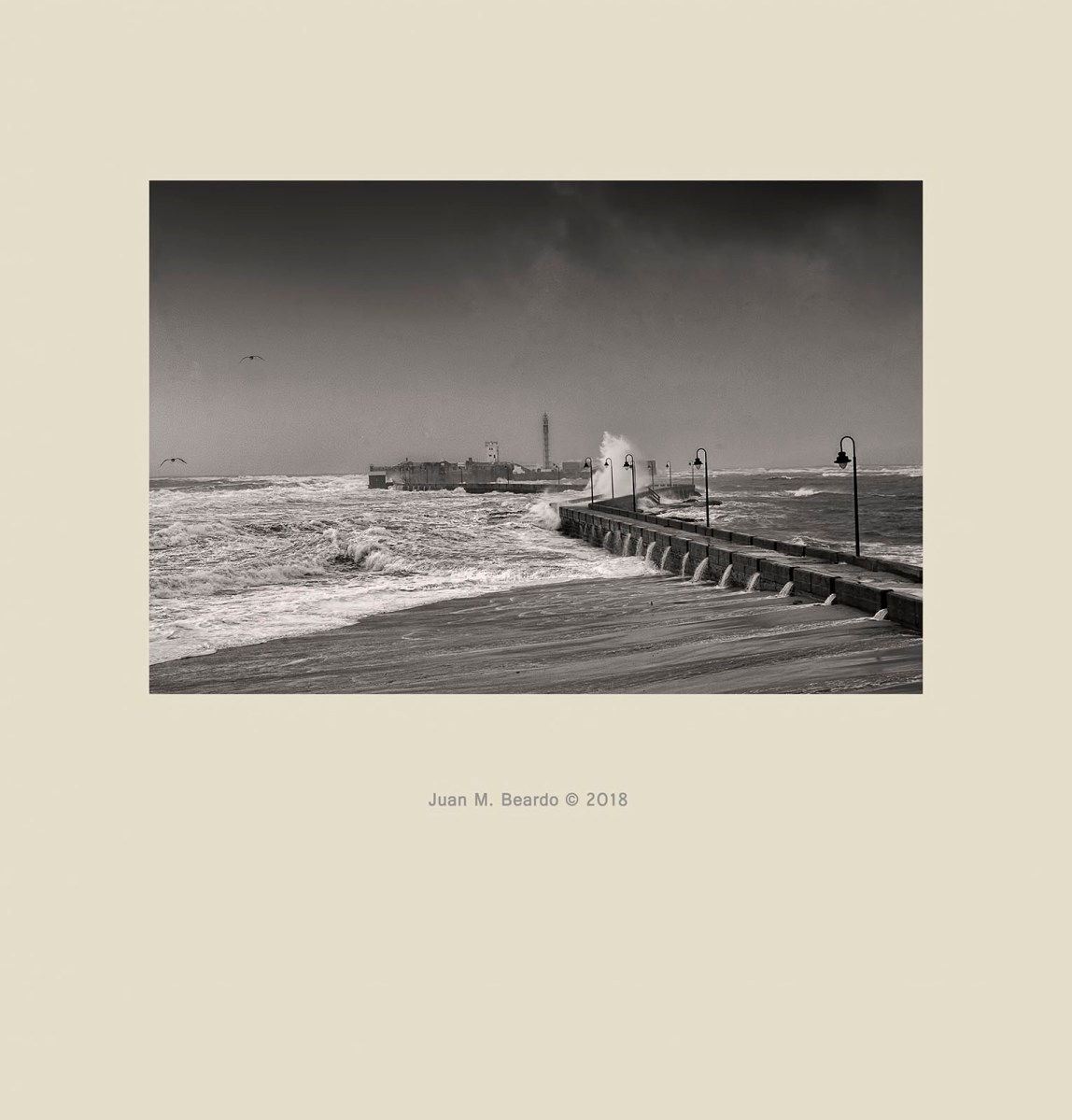 vendaval caleta cadiz emma terceroefe beardo