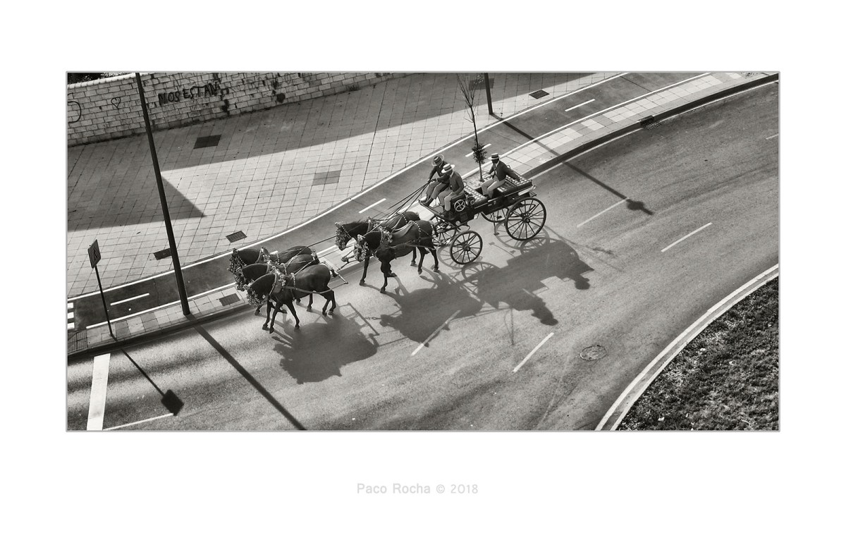 feria jerez coche caballos paco rocha carruaje rotonda sombra blac white blanco negro horses sherry