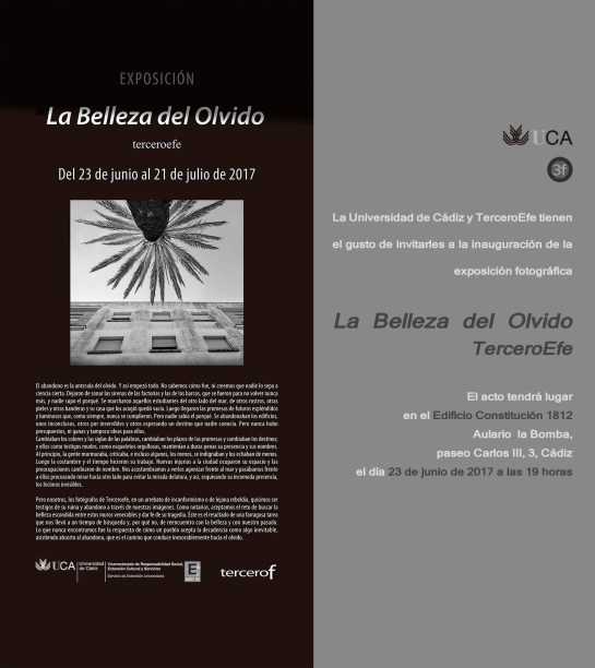 La Belleza del&nbsp;Olvido*