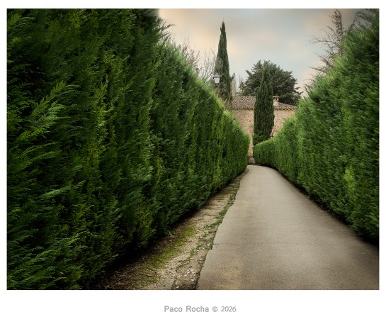 Duero Soriano – Paco&nbsp;Rocha