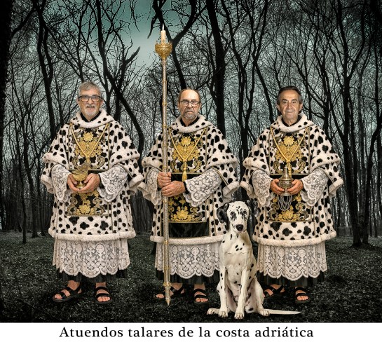 Dalmáticas – Galería